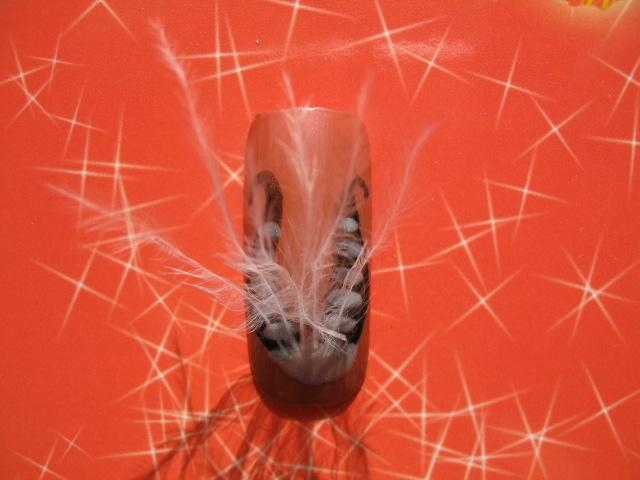 ������: ���������