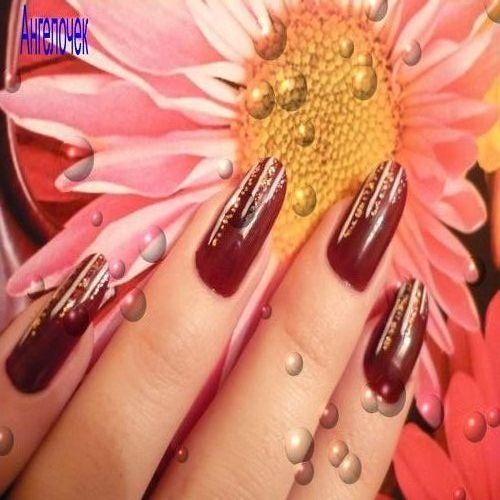 ������: �����
