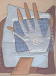 neto007_1.jpg (4917 bytes)
