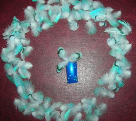 feathers