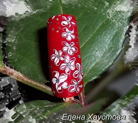 Цветы в росе.